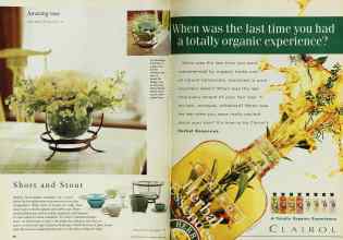 Better Homes & Gardens May 1997 Magazine Article: Page 36
