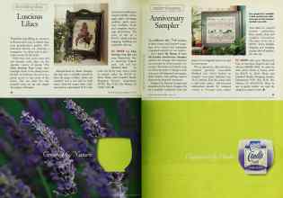 Better Homes & Gardens May 1997 Magazine Article: Page 42