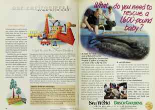 Better Homes & Gardens May 1997 Magazine Article: Page 92