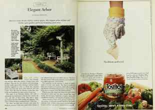 Better Homes & Gardens May 1997 Magazine Article: Page 100