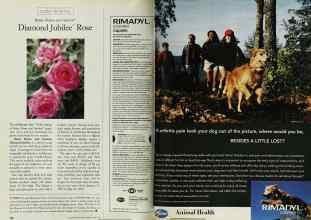 Better Homes & Gardens May 1997 Magazine Article: Page 108