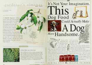 Better Homes & Gardens May 1997 Magazine Article: Page 114