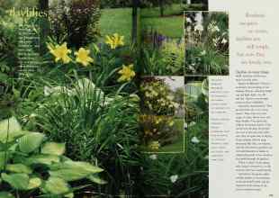 Better Homes & Gardens May 1997 Magazine Article: Page 122