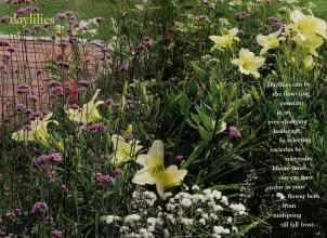 Better Homes & Gardens May 1997 Magazine Article: Page 124