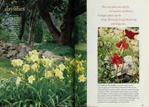 Better Homes & Gardens May 1997 Magazine Article: Page 126