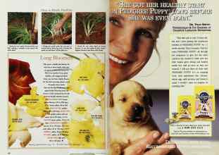 Better Homes & Gardens May 1997 Magazine Article: Page 128