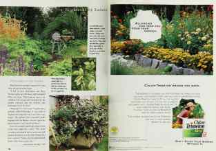 Better Homes & Gardens May 1997 Magazine Article: Page 138