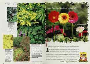 Better Homes & Gardens May 1997 Magazine Article: Page 140