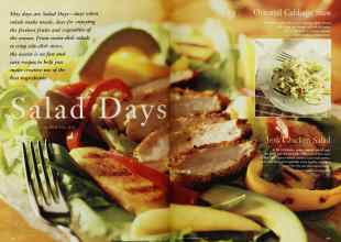 Better Homes & Gardens May 1997 Magazine Article: Page 176