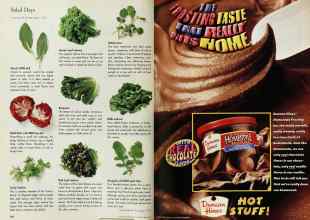 Better Homes & Gardens May 1997 Magazine Article: Page 184