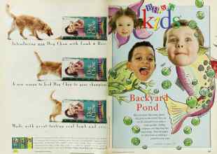 Better Homes & Gardens May 1997 Magazine Article: Page 236