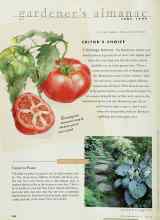 Better Homes & Gardens June 1997 Magazine Article: Cause to Pause