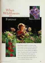 Better Homes & Gardens June 1997 Magazine Article: When Wildflowers are Forever