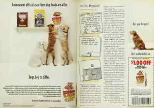 Better Homes & Gardens June 1997 Magazine Article: Page 84