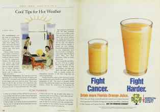 Better Homes & Gardens June 1997 Magazine Article: Page 120