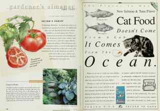 Better Homes & Gardens June 1997 Magazine Article: Page 148