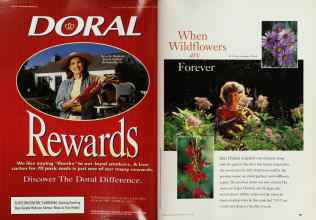 Better Homes & Gardens June 1997 Magazine Article: Page 166