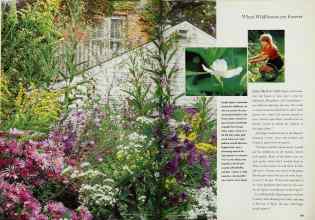 Better Homes & Gardens June 1997 Magazine Article: Page 168