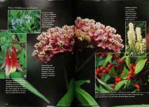 Better Homes & Gardens June 1997 Magazine Article: Page 170