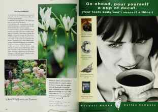 Better Homes & Gardens June 1997 Magazine Article: Page 172