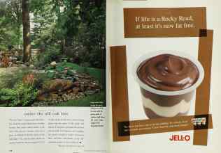 Better Homes & Gardens June 1997 Magazine Article: Page 178