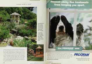 Better Homes & Gardens June 1997 Magazine Article: Page 186