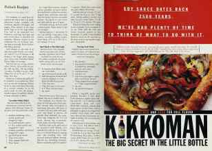 Better Homes & Gardens June 1997 Magazine Article: Page 226