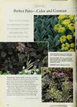 Better Homes & Gardens July 1997 Magazine Article: Perfect Pairs--Color and Contrast