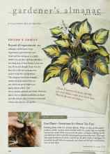 Better Homes & Gardens July 1997 Magazine Article: EDITOR'S CHOICE