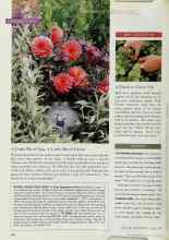 Better Homes & Gardens July 1997 Magazine Article: UPDATE