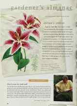 Better Homes & Gardens August 1997 Magazine Article: SMART GARDENING