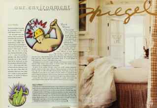 Better Homes & Gardens August 1997 Magazine Article: Page 56