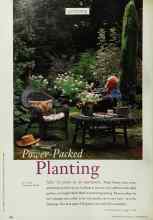 Better Homes & Gardens September 1997 Magazine Article: Power-Packed Planting