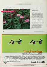 Better Homes & Gardens September 1997 Magazine Article: Pink Puffs and Red Rockets