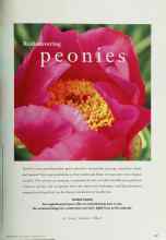 Better Homes & Gardens September 1997 Magazine Article: Rediscovering peonies