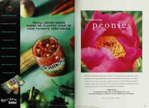 Better Homes & Gardens September 1997 Magazine Article: Page 136