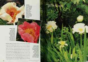 Better Homes & Gardens September 1997 Magazine Article: Page 138