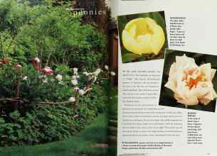 Better Homes & Gardens September 1997 Magazine Article: Page 140