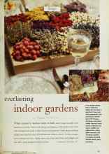 Better Homes & Gardens October 1997 Magazine Article: Everlasting indoor gardens