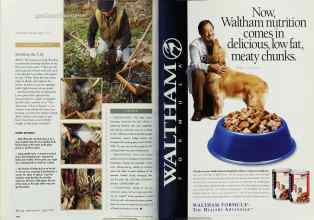 Better Homes & Gardens October 1997 Magazine Article: Page 176