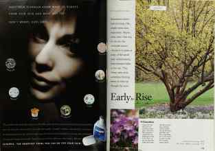 Better Homes & Gardens October 1997 Magazine Article: Page 178