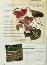 Better Homes & Gardens November 1997 Magazine Article: EDITOR'S CHOICE