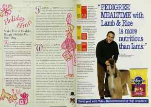 Better Homes & Gardens November 1997 Magazine Article: Page 92