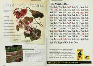 Better Homes & Gardens November 1997 Magazine Article: Page 152