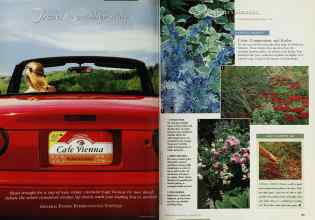 Better Homes & Gardens November 1997 Magazine Article: Page 154