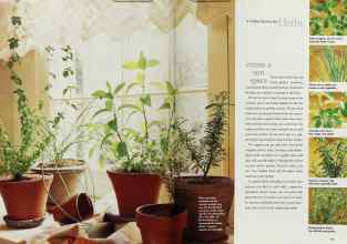 Better Homes & Gardens November 1997 Magazine Article: Page 170