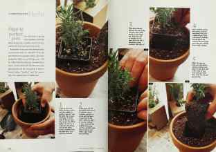 Better Homes & Gardens November 1997 Magazine Article: Page 172