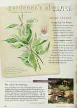 Better Homes & Gardens December 1997 Magazine Article: TEST GARDEN TIP