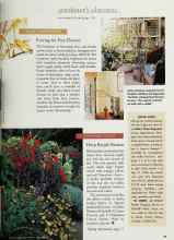 Better Homes & Gardens December 1997 Magazine Article: SMART GARDENING