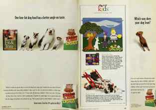 Better Homes & Gardens December 1997 Magazine Article: Page 202